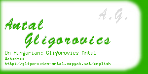 antal gligorovics business card